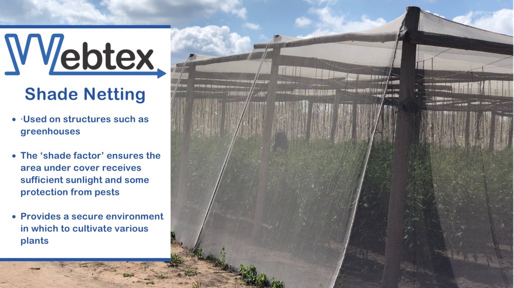 WebtexZw's tweet photo. Your partner in any greenhouse project🌱🍅🫐
#shadenetting #greenhouse #horticulture #floriculture #tomatoes #blueberries #flowers #supportingagriculture #zimfarming #webtexzw https://t.co/eRljXOq0kK