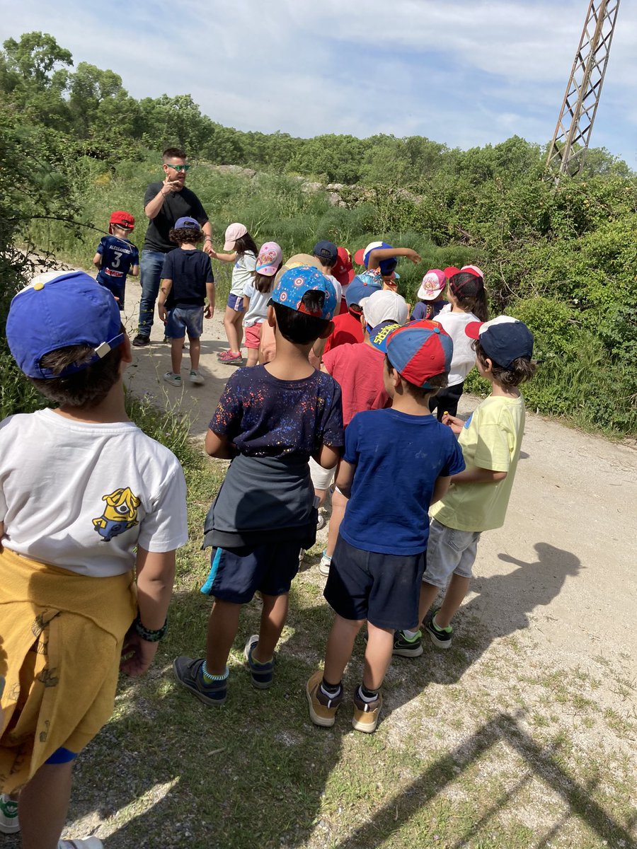 ¡Alimento para las aves hecho!
Nos vamos de senda 👏🏼
#granja5años <a href="/HBSTORREJON/">Humanitas Torrejón</a>