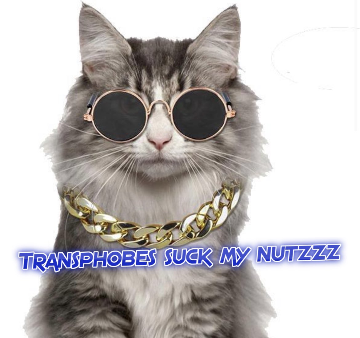 @AnimalsCaption Made this for this tweet