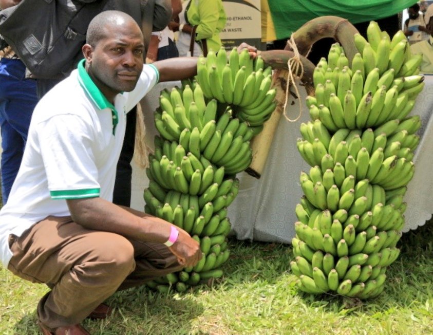 The National Agricultural Research Organisation (NARO) undertakes research in a number of sub-sectors including crops, livestock, fisheries, forestry, agro-machinery, natural resources and socio-economics.