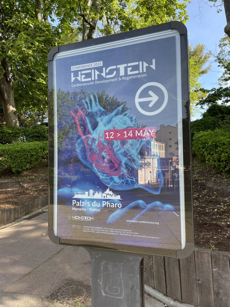 Here we are 🤩 Exciting! #weinstein2022