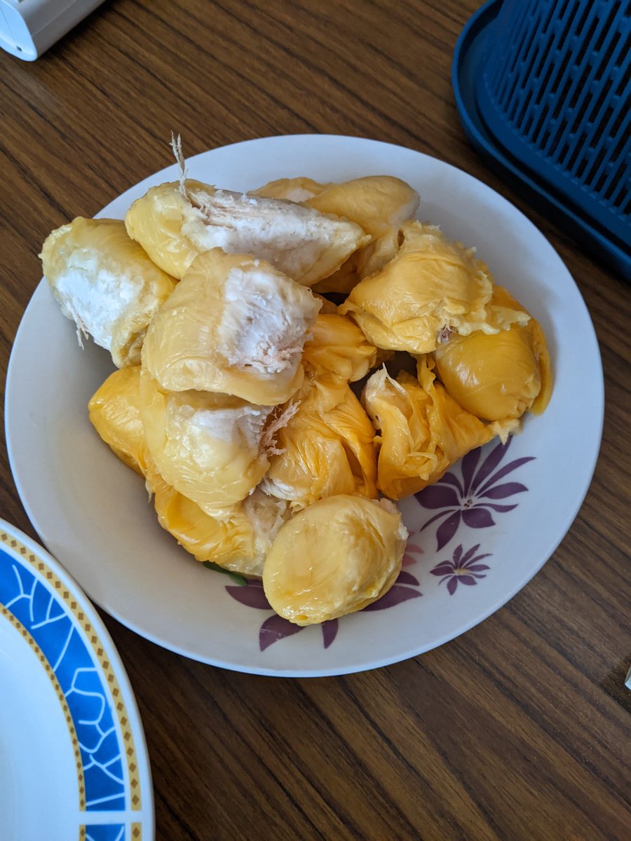 WShoyu's tweet photo. I'm a fxkin happy boy. So blessed to be able to taste real durian 2 days before my flight back to the land of the rising sun. Thanks dad for fulfilling this little dream of mine.
#BlessedChild #durian #HappyKid
#BackToRealitySoon https://t.co/2KC0kJwWiH
