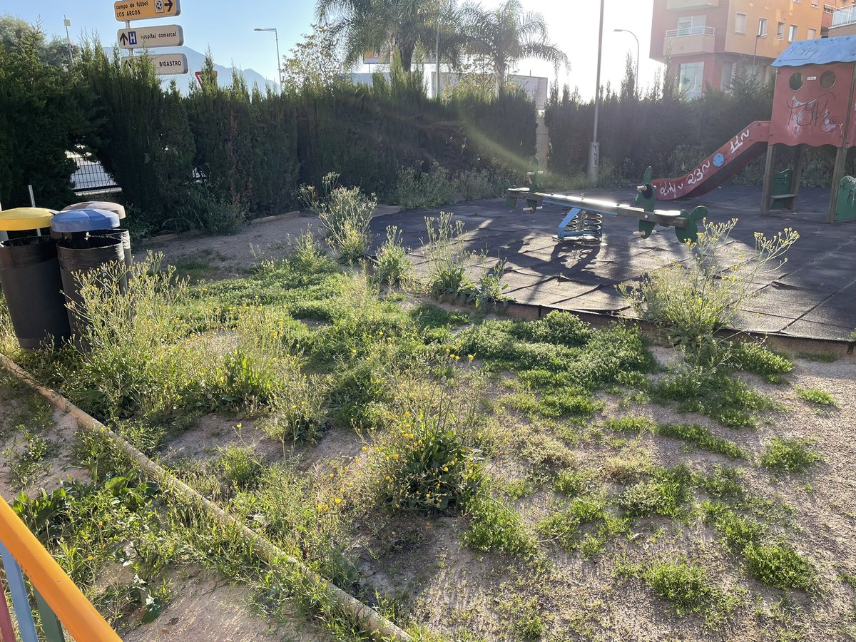 JoaquinRSala's tweet image. @AytoOrihuela seguimos en #Ucrania en la zona de exclusión nuclear. Aquí no entra ningún jardinero a cortar el césped o quitar malas hierbas, ¿es por la radioactividad? #ReactivarOrihuela haznos un poquito de caso a los que vivimos aquí, por favor. @Cgraciagomez @JoseAix1