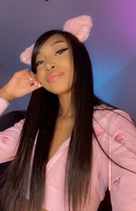 ur favorite kitten 💕 https://t.co/37zW3ovORf