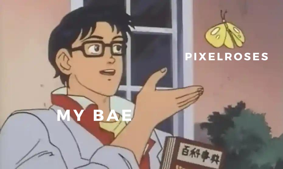 PixelRoses_NFT's tweet photo. My Bae Reaction When I Gift a PixelRoses 💓

#Metaverse #Crypto #PixelRoses #NFTCollection #NFTCommunity #Ethereum #Opensea https://t.co/Bvb8vOqUGn