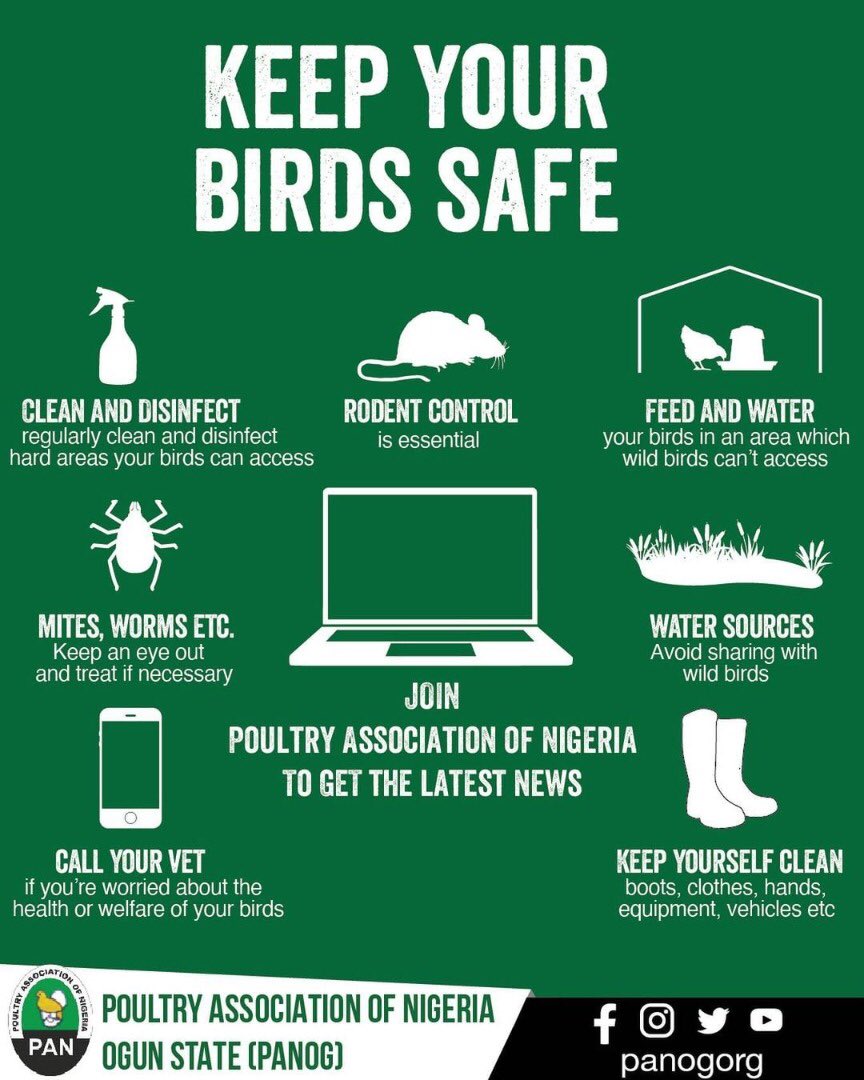 panogorg's tweet photo. It is important to practice good biosecurity on your poultry farm. This is particularly important at times of notifiable disease such as Avian Influenza .
Keep you birds safe by following our tips. 👆
#poultry #PANOG #poultryfarming https://t.co/chEUannWYv