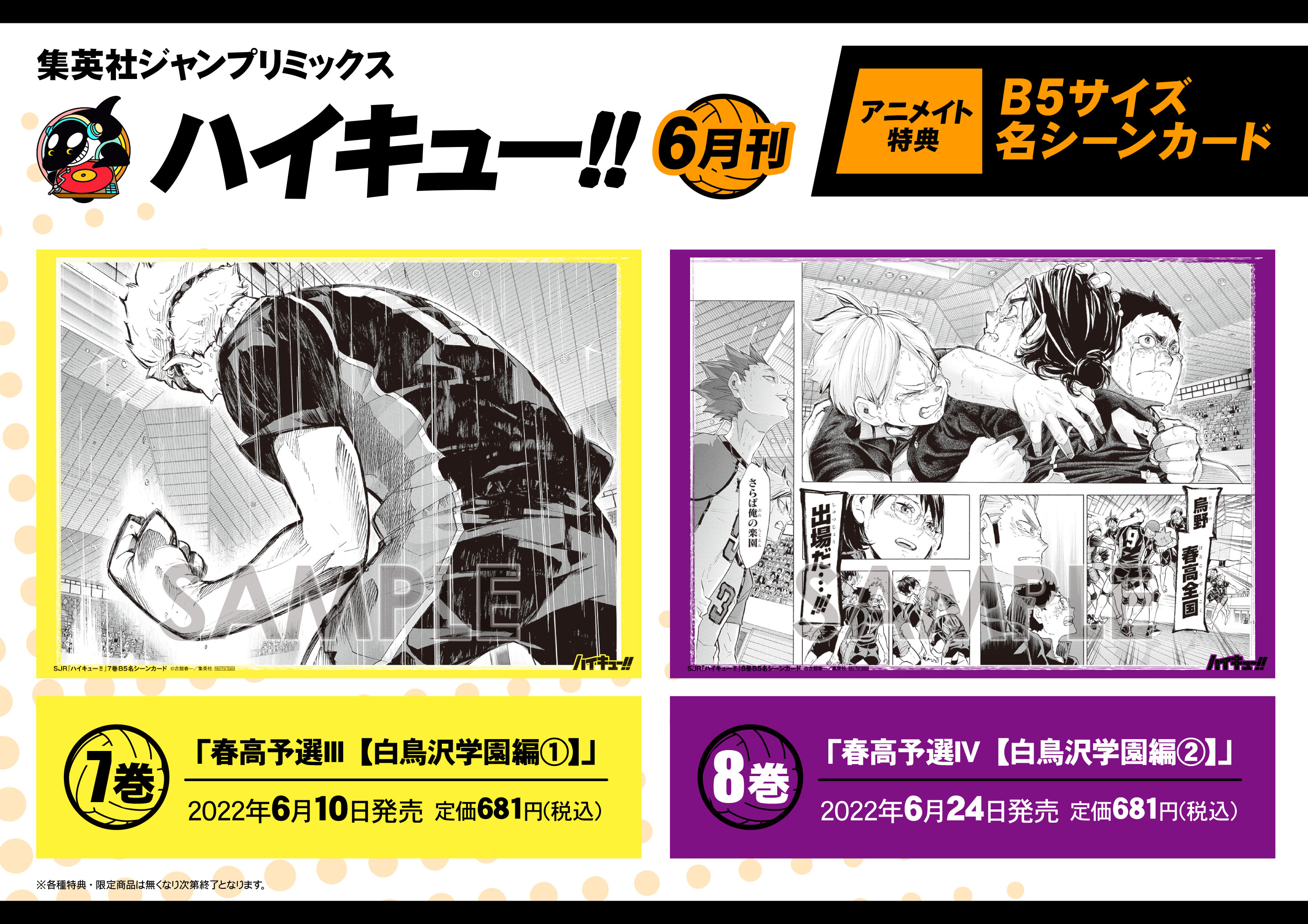 ハイキュー!!リミックス版アニメイト特典 ハイキュー!!リミックス版アニメイト特典