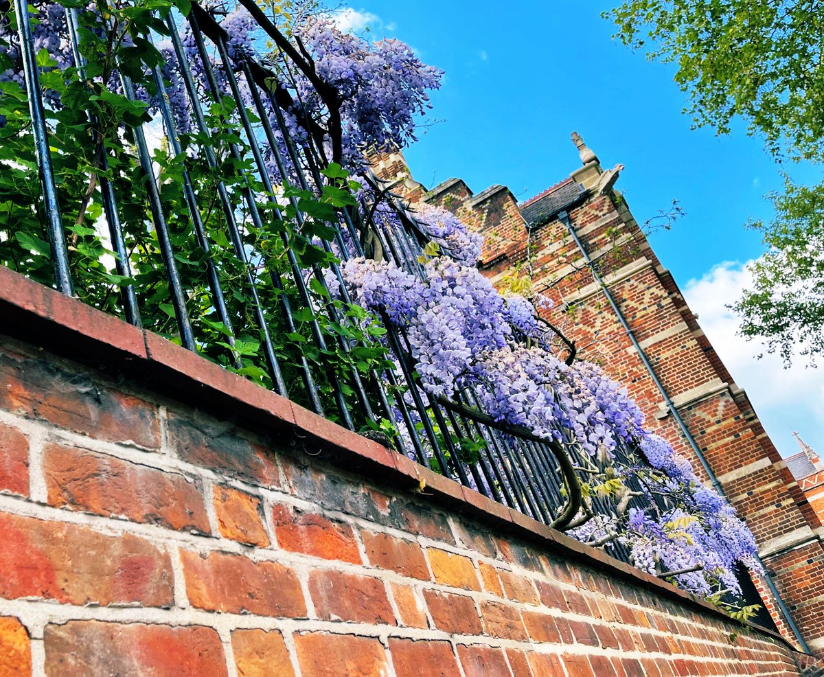 Rev Sophie tweet media