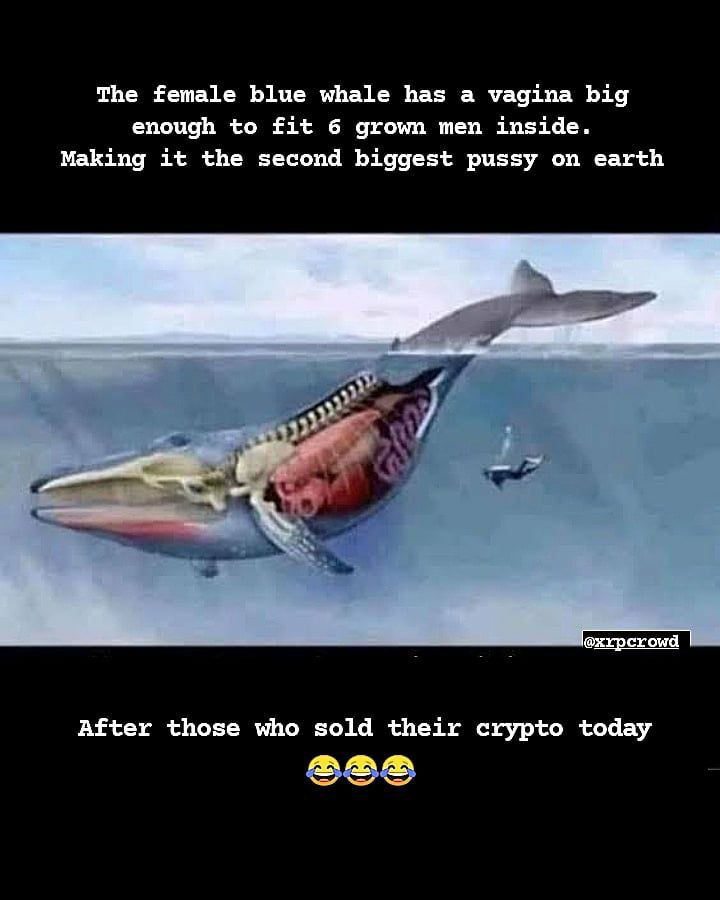 This picture is dedicated to everyone who sold their #BITCOIN today.

#HODL #Cryptocrash