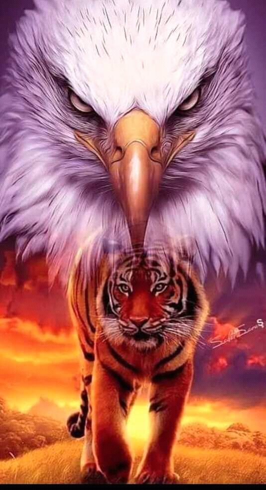 1DsinceY2010's tweet photo. The TIGER roaring loudly and the EAGLE soaring high. #BBMIsMyPresident2022 #IndaySaraDuterteIsMyVicePresident2022 https://t.co/ltvQeJXgHp