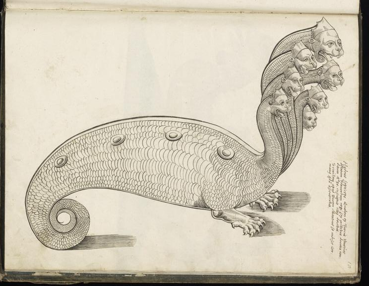 The hydra is a many-headed serpentine monster with poisonous breath and blood. For each head it loses, it grows two more.
Image: Gessner's hydra from 'Historiae Animalium', 1551-1558. #hydra #conradgessner #beasts #monsters #mythology