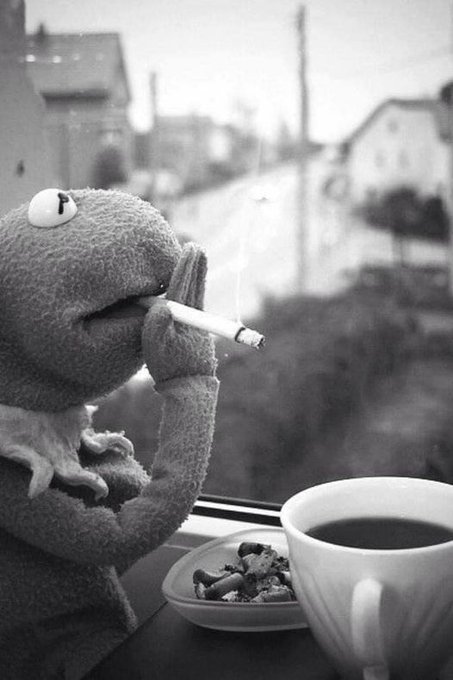 The lost black and white classic Ingmar Bergman film, “The Seventh Muppet” has recently been restored and remastered. The film depicts the violence and the struggle of modern life through a game of chess played between a disillusioned Kermit The Frog and the figure of Death.