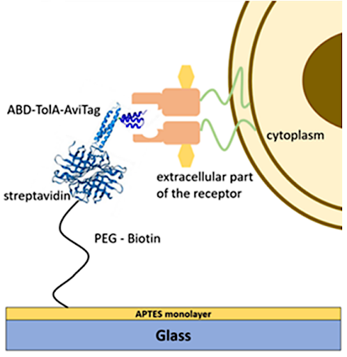 NanoEnviCz tweet media