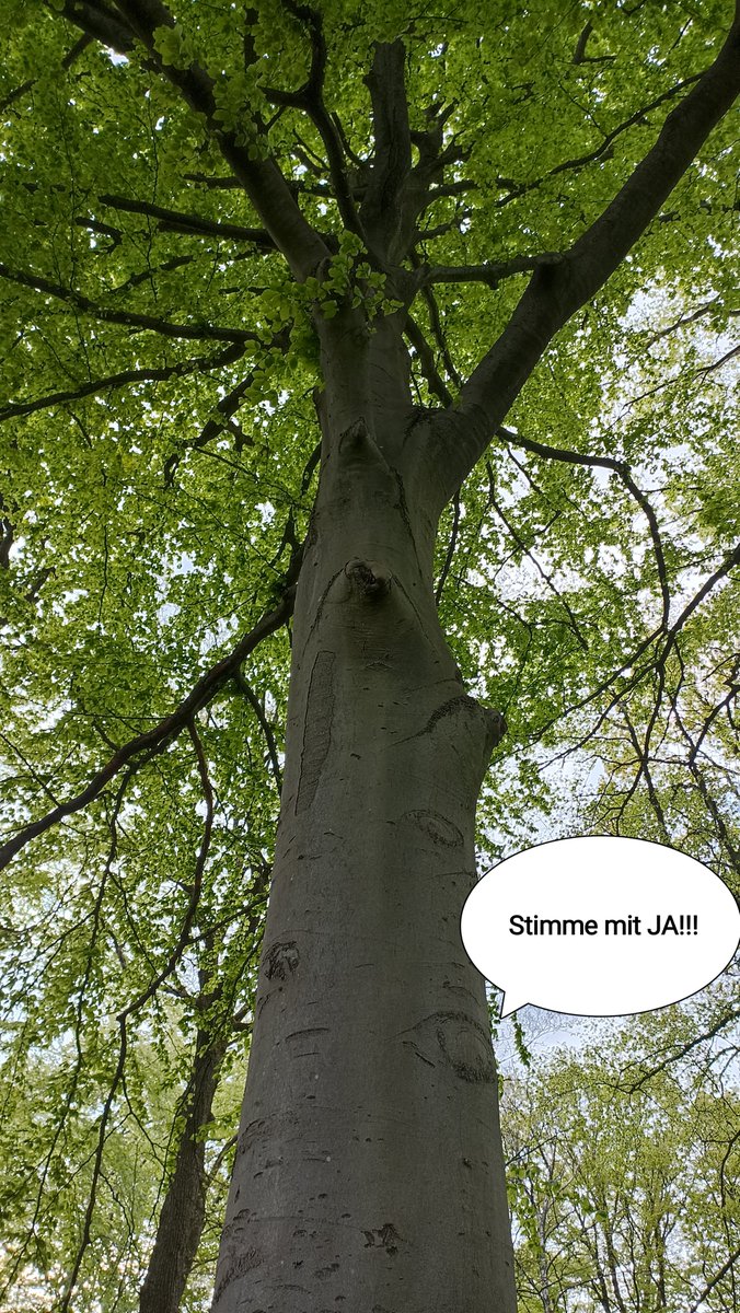 kerstinschrde16's tweet photo. #wuppertal 
@wzwuppertal @RadioWuppertal @WRundschau 
Krasse Desinformation, #Greenwashing mit allen zur Verfügung stehenden Werkzeugen, knallharte Medien-Sperre für #bugasonicht, 100%proBUGA31 Berichterstattung 
Nur um die Bürgerinnen um 121mill€ zu prellen https://t.co/aloGP9a2K7