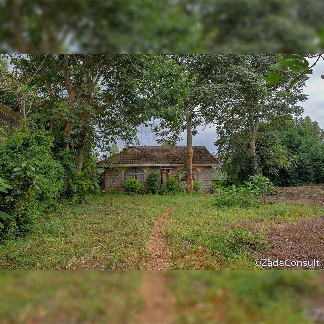 zadaconsult's tweet photo. This 1/2 acre #plot located in New #Kitusuru is ideal for #residential #development.
It has a 2 bed guest house, and a 3500 Sqft main house structure that has a built basement and foundation.
☎️ 0769 072 525 - 0717 099 911
#realestate #property #investment #listing #landforsale https://t.co/LetLWcDbvh