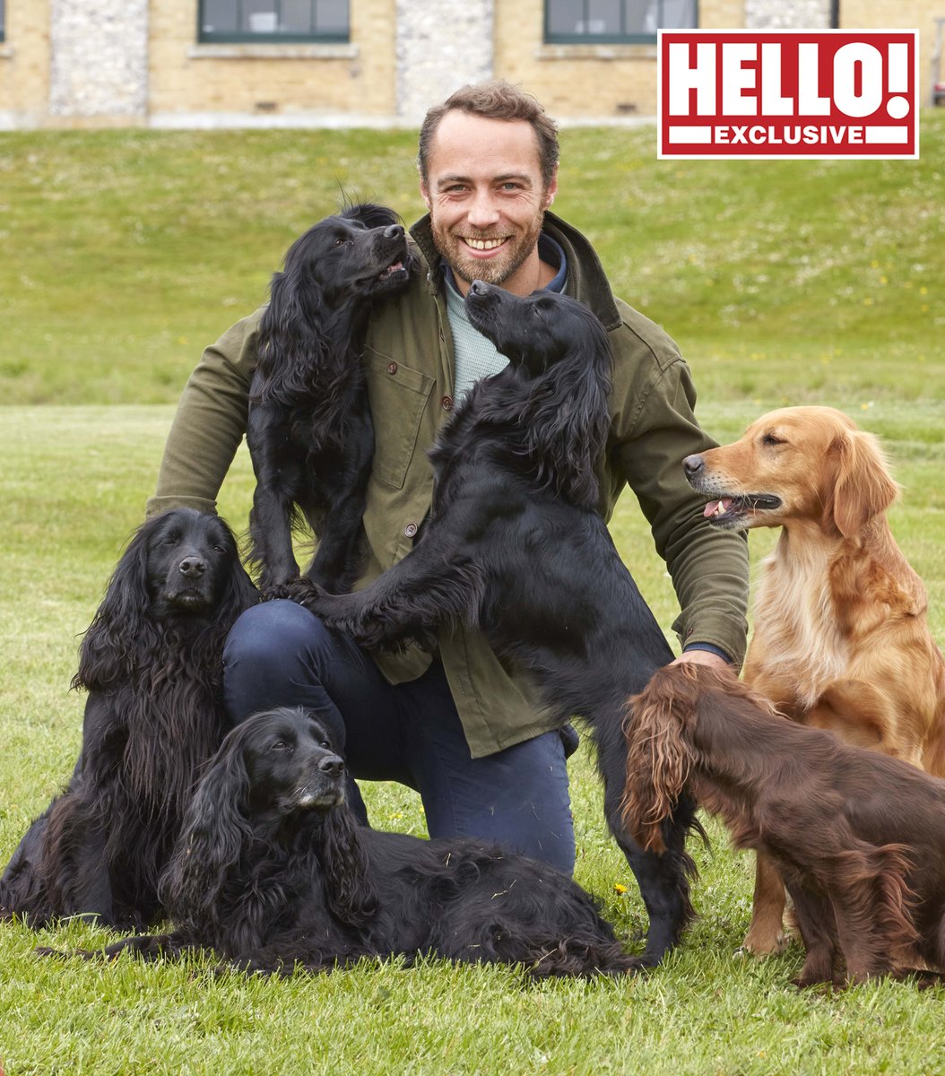 Sally Morgan tweet media