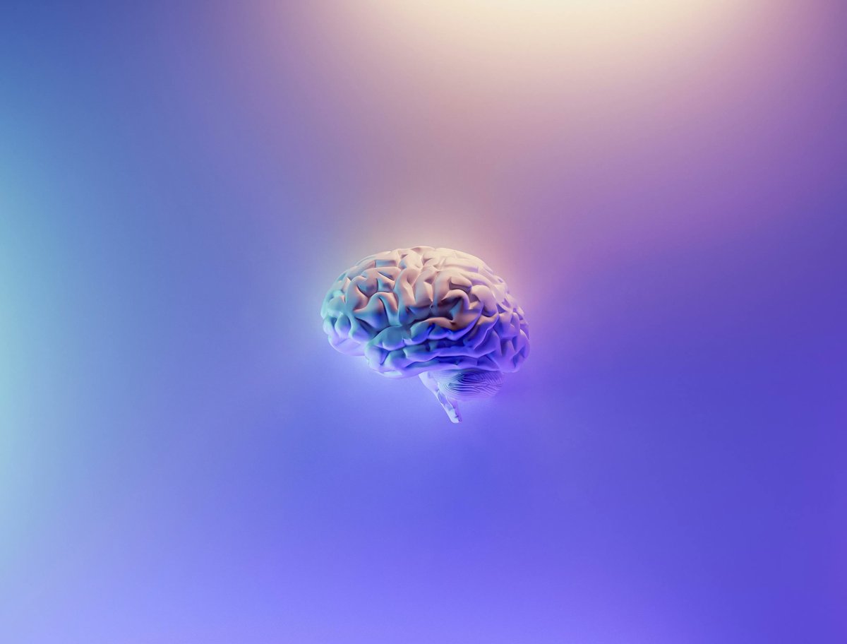 H1 Connect (@h1connect) on Twitter photo For #StrokeAwarenessMonth, we highlight <a href="/cjstagg/">Charlotte Stagg</a> & <a href="/IoanaGrigoras4/">Ioana Grigoras</a>’s recommendation of this meta-analysis by <a href="/StrokeScience/">Cathy Stinear@StrokeScience@mastodon.nz</a> published in <a href="/brainstimj/">Brain Stimulation</a> that helps to better understand the pathophysiology of #stroke. #strokemonth #MakeMayPurple
facultyopinions.com/prime/72748752… For #StrokeAwarenessMonth, we highlight <a href="/cjstagg/">Charlotte Stagg</a> & <a href="/IoanaGrigoras4/">Ioana Grigoras</a>’s recommendation of this meta-analysis by <a href="/StrokeScience/">Cathy Stinear@StrokeScience@mastodon.nz</a> published in <a href="/brainstimj/">Brain Stimulation</a> that helps to better understand the pathophysiology of #stroke. #strokemonth #MakeMayPurple
facultyopinions.com/prime/72748752…