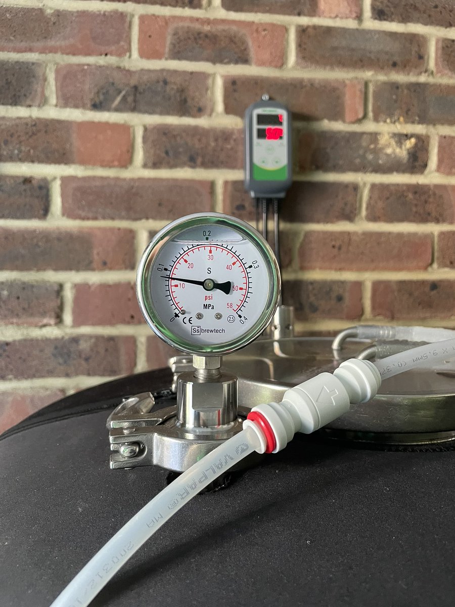 NEIPA fully carbbed! Ready for kegging at the weekend. Soon…!! 😁🍺 #simcoe #mosaic #alreadysold