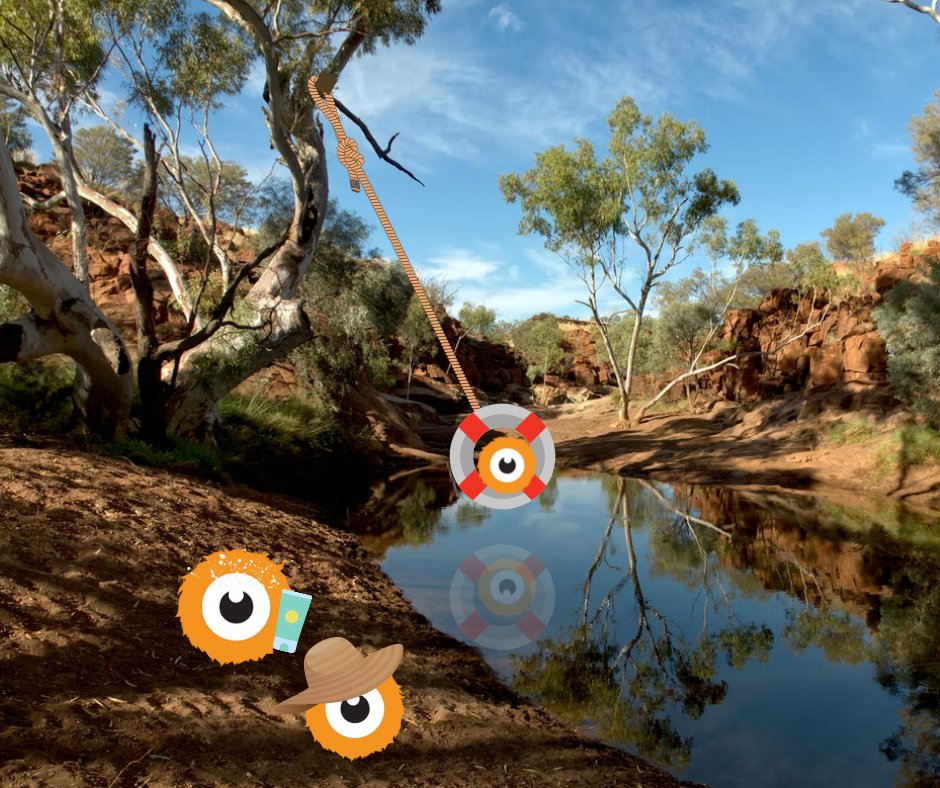 MonsterShop tweet media