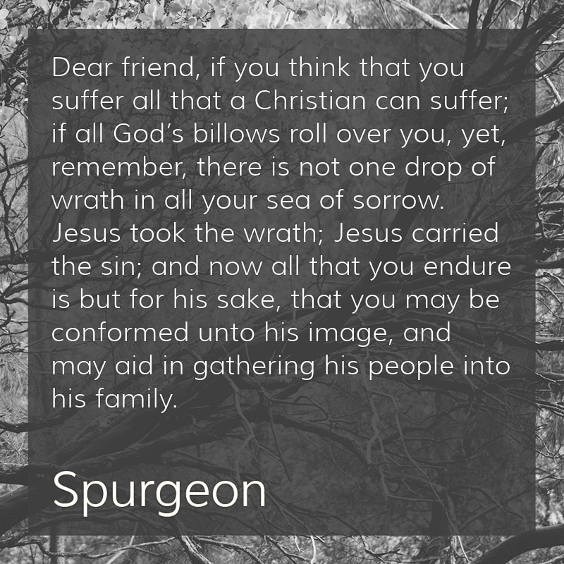 ReadingSpurgeon's tweet photo. #Spurgeon #S497 https://t.co/JZ16hS4UtH