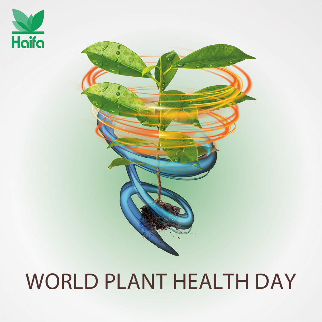 Your health, everybody’s health, begins with good, healthy nutrition. And healthy nutrition begins with healthy, vital crops. Click to learn about the Plant 360 approach that helps farmers worldwide grow healthy crops.
bit.ly/3PhwFyQ