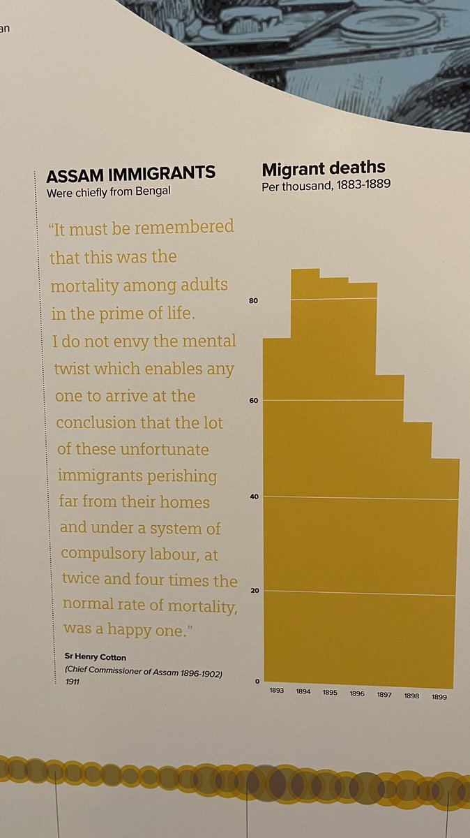 The price of tea 🫖 1800-1900