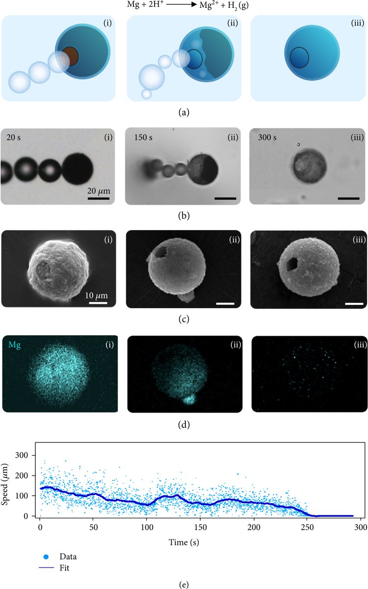 Research_Jrnl's tweet photo. Multigear Bubble Propulsion of Transient #Micromotors 
Click the link below to read this free, open access article @SPJournals @AmirNourhani @FerNanobio @JWangnano
https://t.co/qQMHuav5Yd https://t.co/kSBFQY5vff