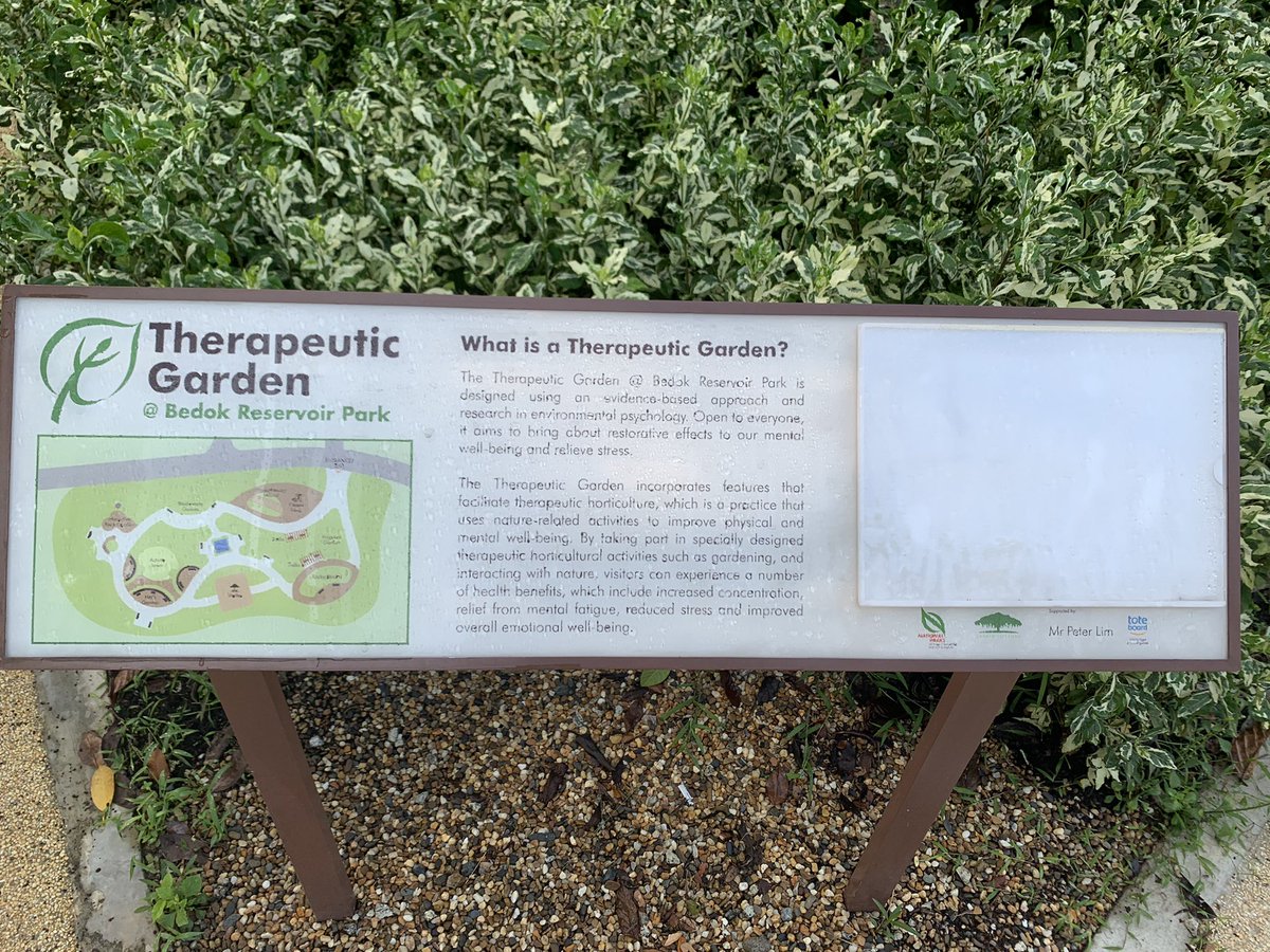 JNEO023's tweet photo. A therapeutic garden can reduce stress, promote mental well-being, and relieve mental fatigue.

There is one in Bedok Reservoir Park where you can bring your loved ones and experience natural beauty.

@ArtsAgeingNTU #AG6309Wk7AY21T3 #artsandhealth https://t.co/KOeqTZ5Isz