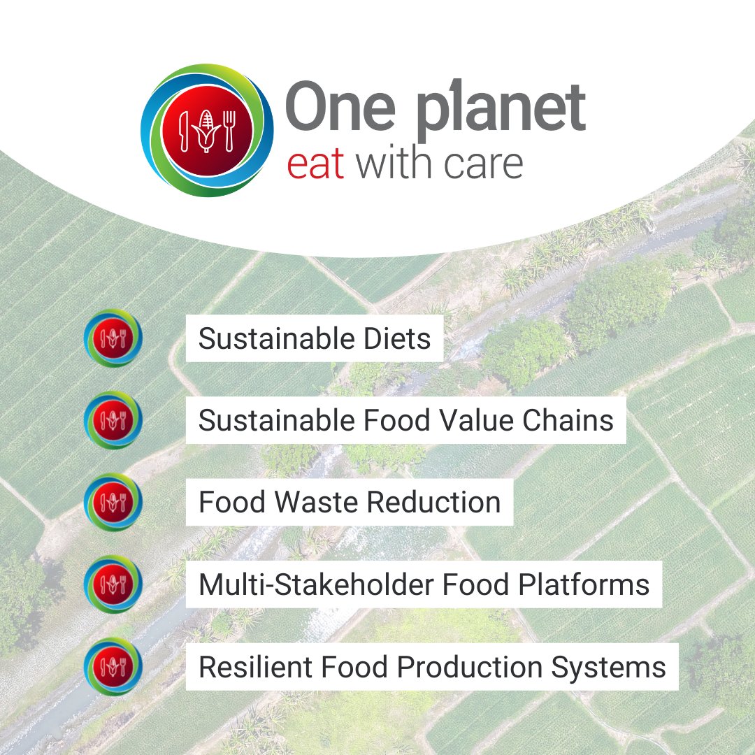 10YFP's tweet image. It is critical that 🌽 Global Food Systems operate #sustainable consumption and production ♻️ #SDG12 patterns focused on 5 key areas to reduce their impact on increasingly fragile and scarce #nature resources @UNCCD 

Learn about sustainable food systems: bit.ly/37BRl3C