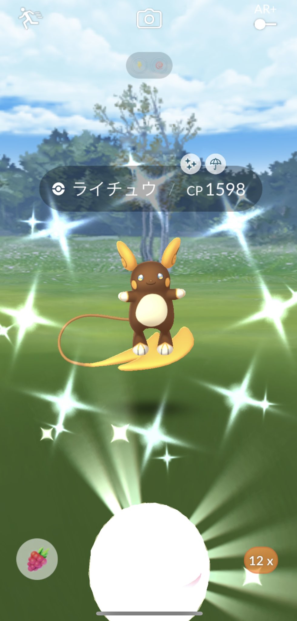 アローラライチュウ色違い Twitter Search Twitter