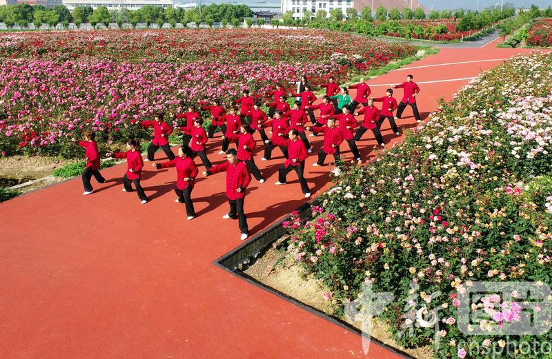 photo_cns's tweet photo. Taijiquan lovers play Taijiquan in an agricultural ecological park in Huayuan Village, Nanma Town, Dongyang City, Zhejiang Province, May 6, 2022. (Photo by Bao Kangxuan/CNSPHOTO)
#Taijiquan   #flowers  #Dongyang  #sport https://t.co/A4kVo1QydW