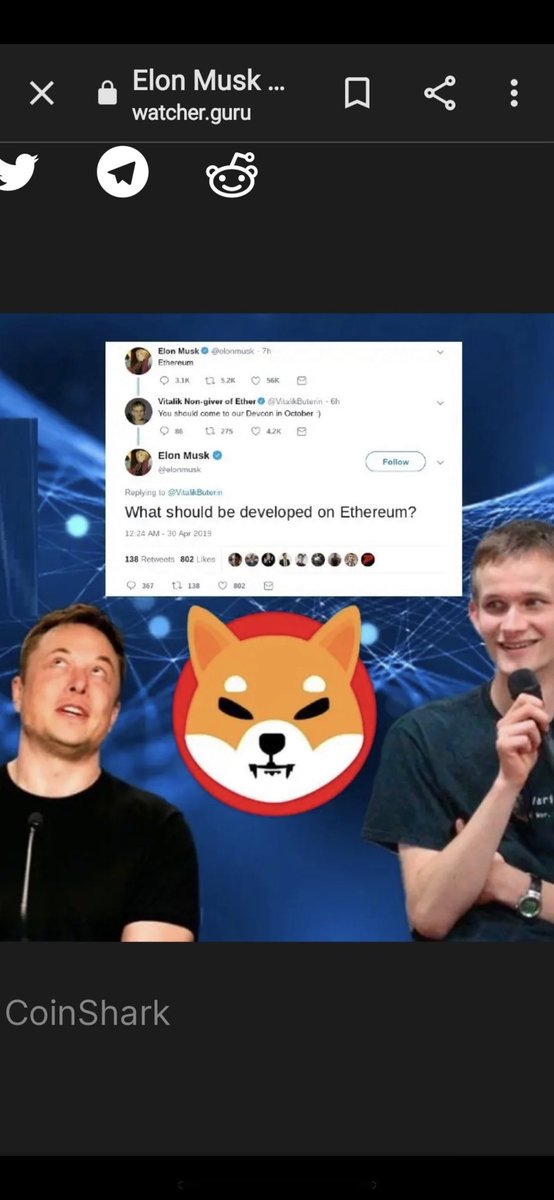 DatT8888's tweet photo. #SHIB #SHIBARMY4LIFE  From now #shibainu going to loose a zero Withi n 6 months. #buythedip Mark my words !! 🐋💰🐳🤑🍀🔮🐕🚀🌙 ##SHIBARMYSTRONG #ShibainuCoin #HoldTheLine https://t.co/noOG1ilMsF