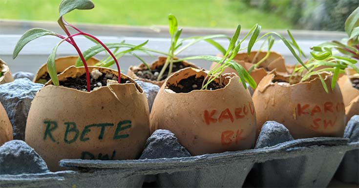 CommunityPlaythings.de tweet media