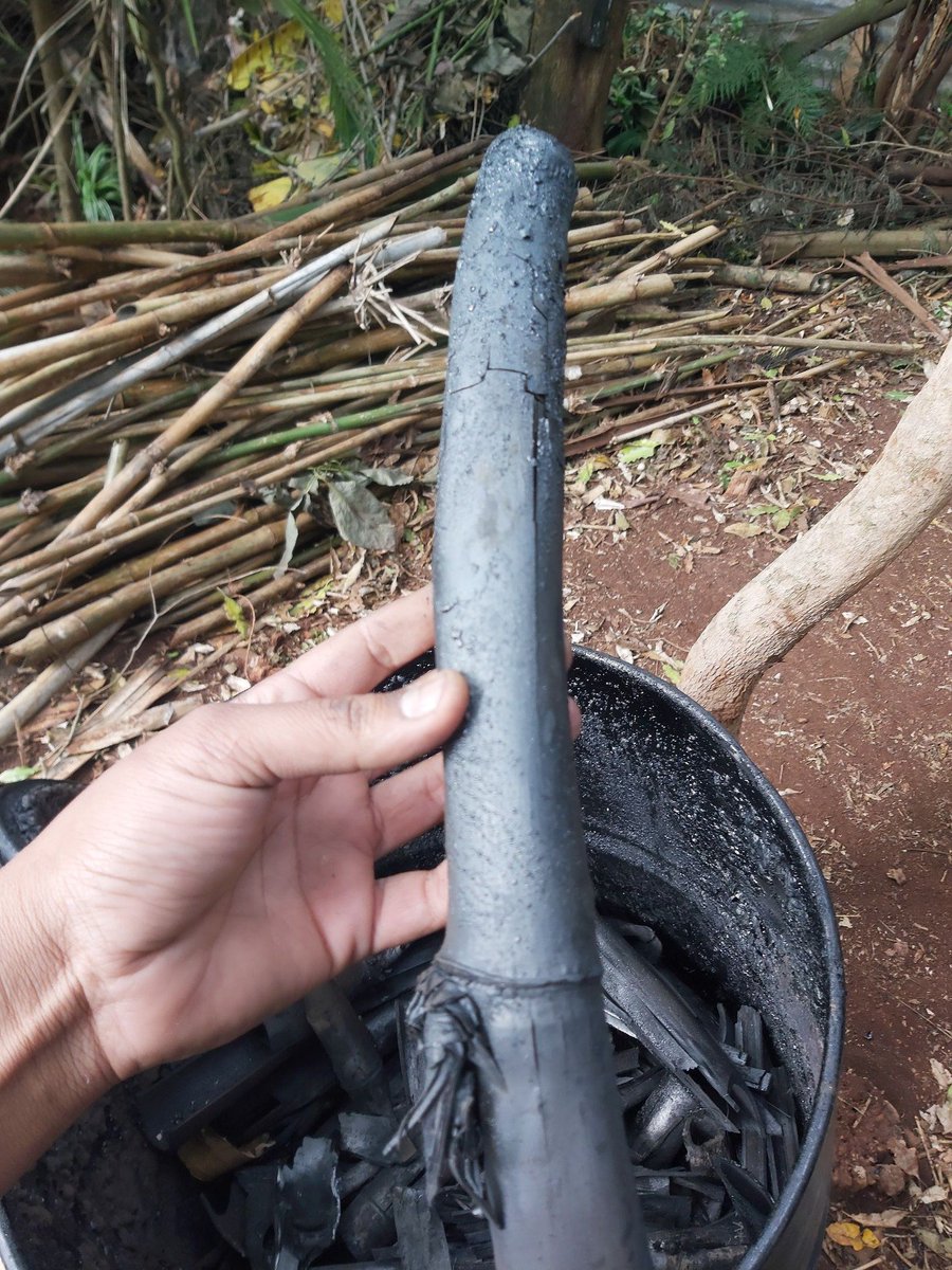 cookswelljikos's tweet photo. Bamboo wood vinegar and bamboo charcoal. Read all about it on our blog - link in bio.

https://t.co/0W3i2OcgFW

#farmingkenya #bambookenya #woodvinegar #pyroligneousacid #organicfarmingkenya #biochar #biocharkenya #biocharAfrica #charcoalkiln https://t.co/T7E6OqANwo