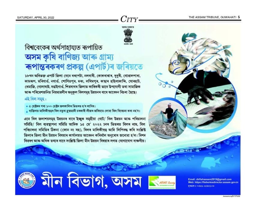apartassam's tweet photo. Beel Fisheries Department under APART. 
@mygovassam
@ATULBORA2
@WorldBank
#APARTAssam #fisheries #beelfisheries #fishvaluechain #wetlands #development https://t.co/UUvJZBVMum