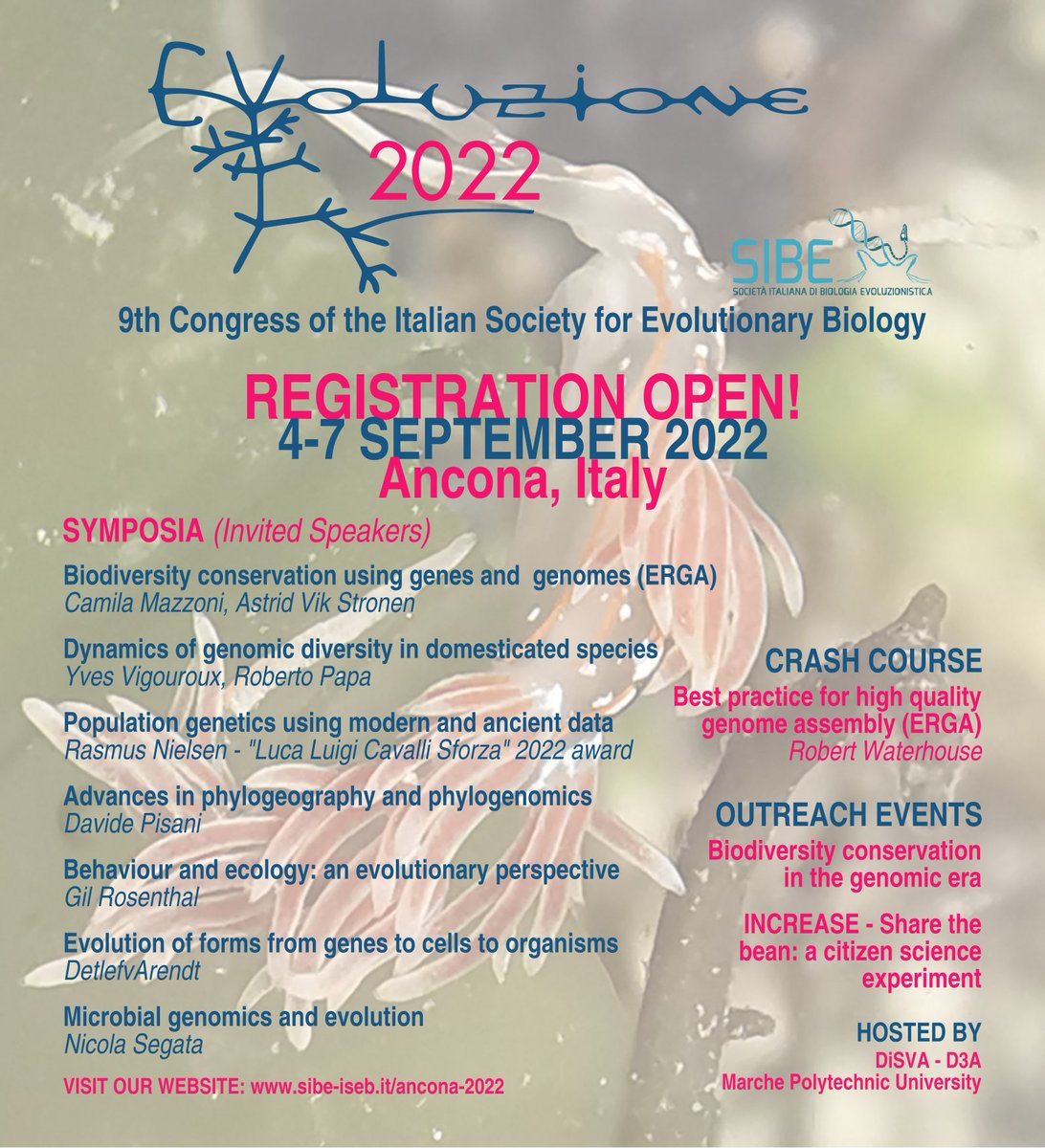 Would you fancy an Evolutionary Biology conference in Italy? EVOLUZIONE2022, Ancona, 4-7 September: sibe-iseb.it/ancona-2022 @sibe_iseb @UnivPoliMarche @erga_biodiv