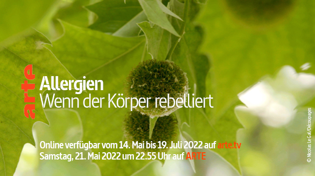 ARTEpresse's tweet photo. #Pollen, #Erdnüsse oder #Katzenhaare: Immer mehr Menschen leiden unter #Allergien. Doch warum rebelliert unser #Immunsystem? Und welche Rolle spielen dabei unser Lebensstil, die Gene und die Umwelt? https://t.co/TcEQyOuvP5
@ARTEde @daaballergien @pollenstiftung @Allergieinfo_M https://t.co/JsWsLjq7ku