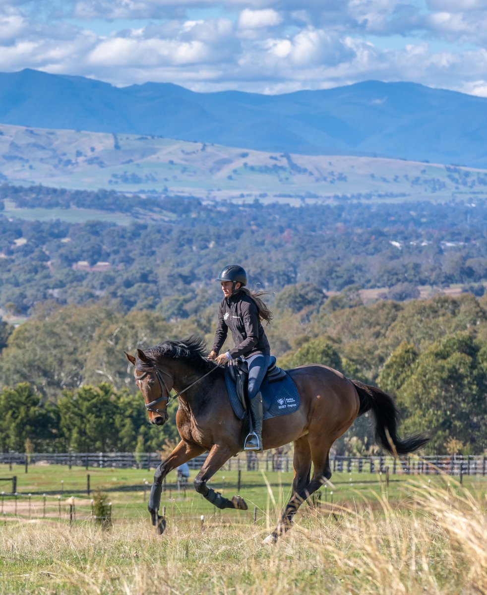 RV_OffTheTrack's tweet photo. Great images of RV Acknowledged Retrainer Sophia Landy & #RESETProgram thoroughbred Giovanni Battiste! https://t.co/1LELOwTDbH