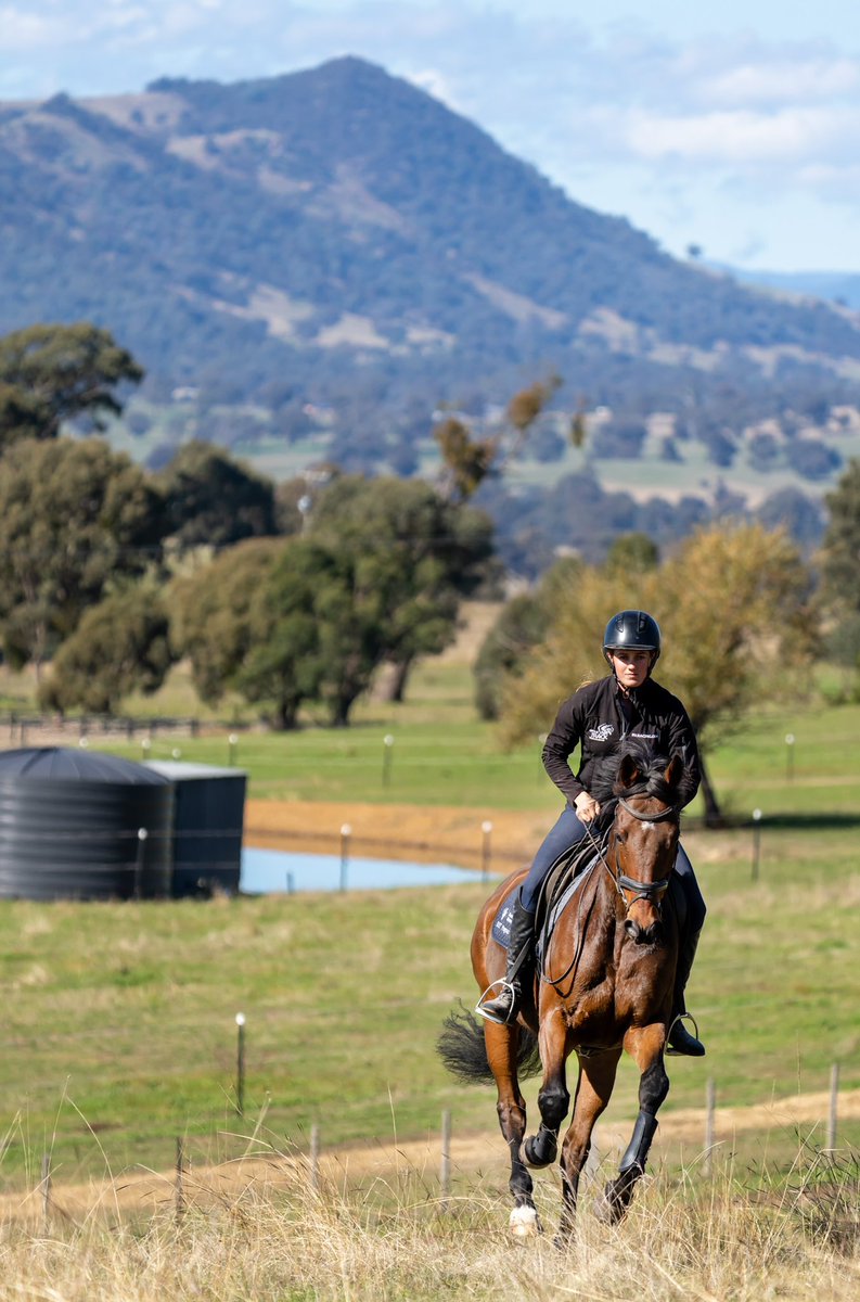 RV_OffTheTrack's tweet photo. Great images of RV Acknowledged Retrainer Sophia Landy & #RESETProgram thoroughbred Giovanni Battiste! https://t.co/1LELOwTDbH