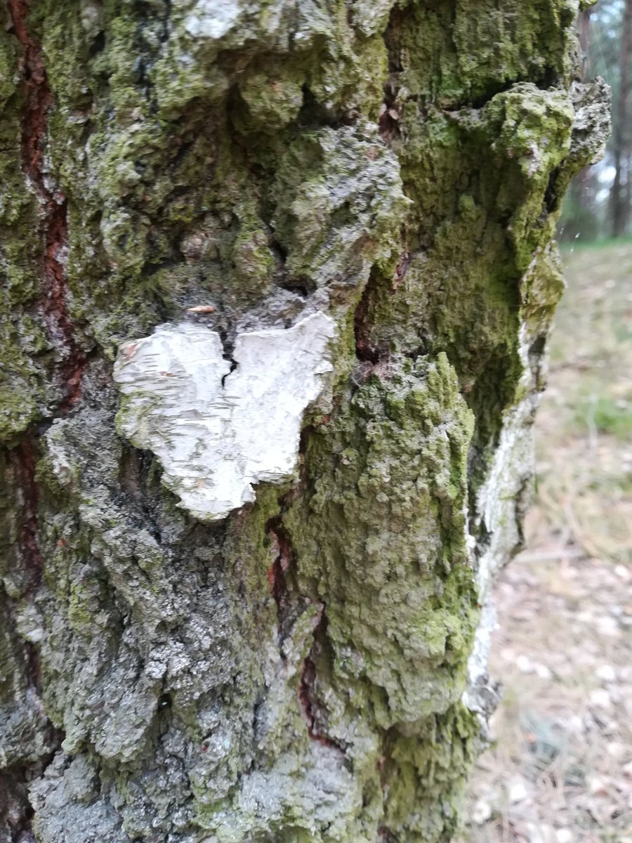 TheMessMess's tweet image. ❤️