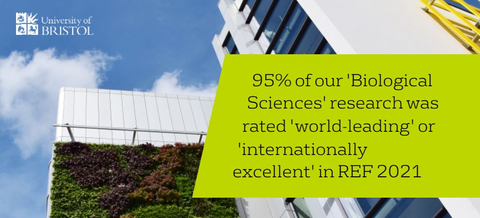 We are absolutely over the moon that our #REFresults recognise the phenomenal work our world-leading researchers do here in Biological Sciences.

A massive thank you to everyone involved in #REF2021, we know the massive job it has been over the last 7 years! 

🥳🎉🥳🎉🥳🎉🥳🎉🥳