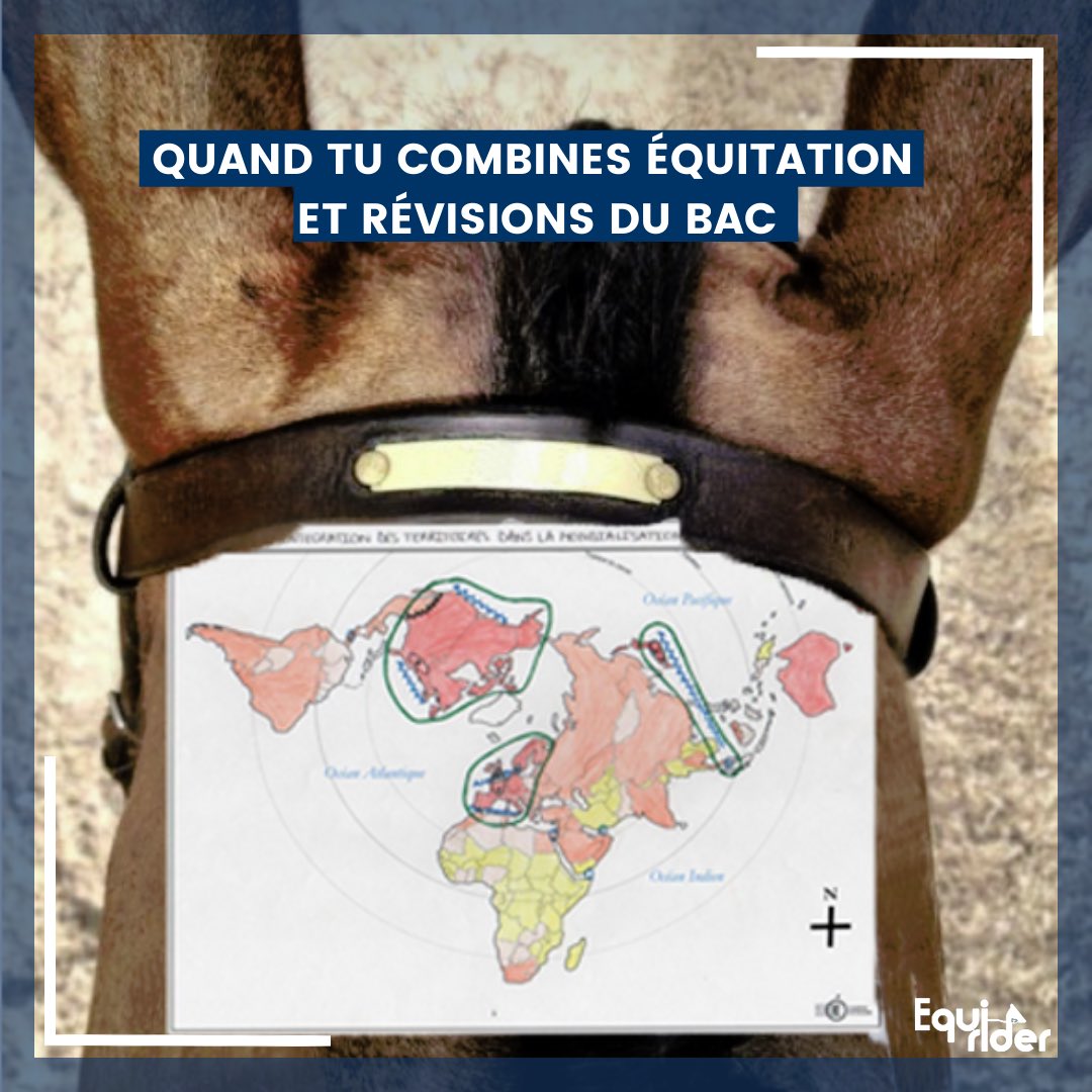 Bon courage à tous les cavalier•ères qui sont dans cette situation 🫣#BAC2022 #horseriding #cavalier #cavaliere #cheval #equitation