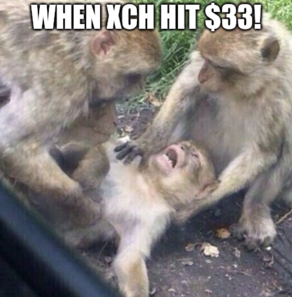 warp_coin's tweet photo. In a couple of weeks this will all just be a memory... 🫠🫠🫠
#Chia 🌱 #Chiameme #XCH $XCH #Crypto #bitcoin $luna #Ethereum https://t.co/WHRb5TtYrh