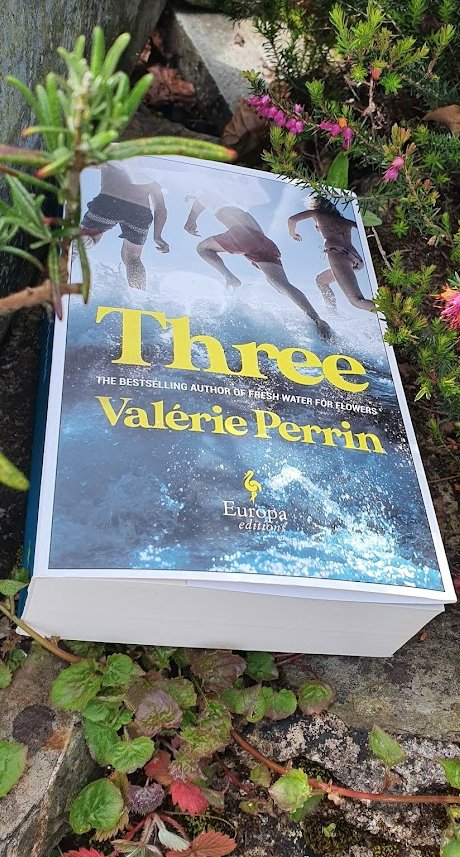 Three - Valérie Perrin
