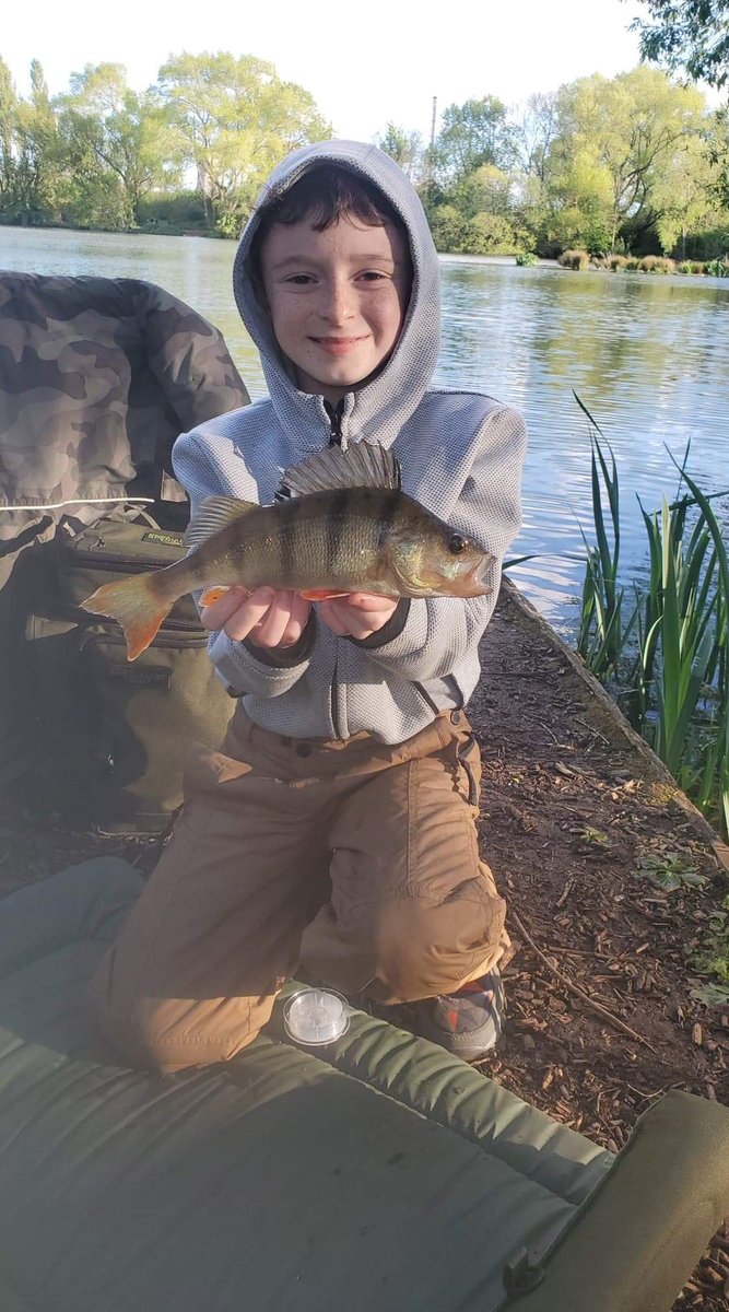 DaveMuntAT's tweet photo. Billingham Angling Clubs New Young Superstar, 11year old Harry Janes with a fine Perch caught last night at Charlton’s Pond #GetFishing ⁦@AnglingTrust⁩ https://t.co/jPR3Dk2NgW
