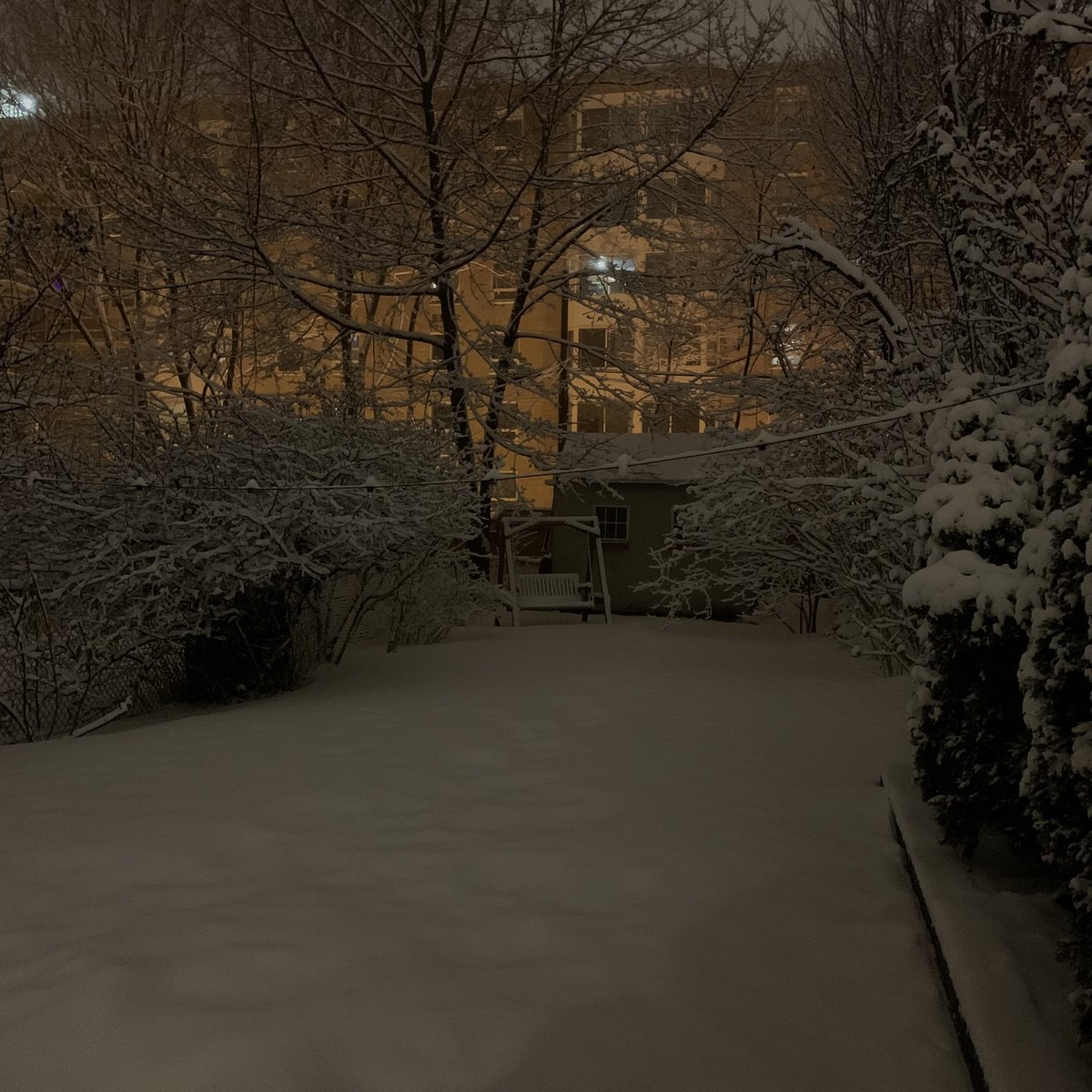 Голубь Антон tweet media