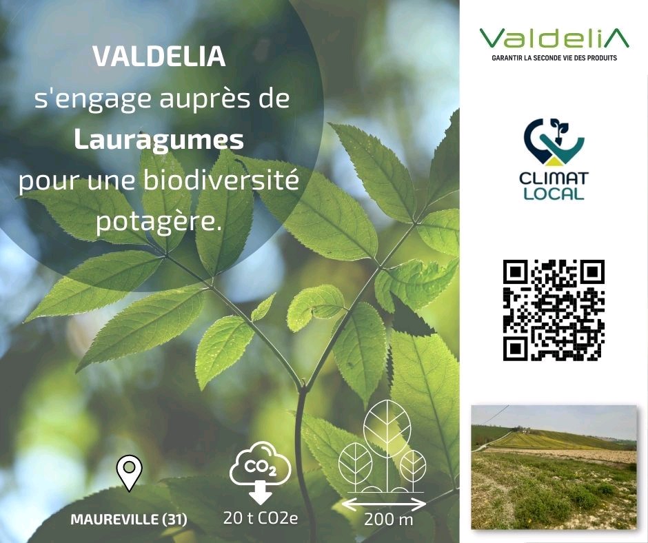 ClimatLocal's tweet photo. Aujourd'hui, nous vous présentons les deux projets financés par @ValdeliaPro 
Et vous, cest quoi votre projet pour l'hiver prochain ?
#compensation #Carbone #climat #haie #LBC https://t.co/6qqn5ZZzVx