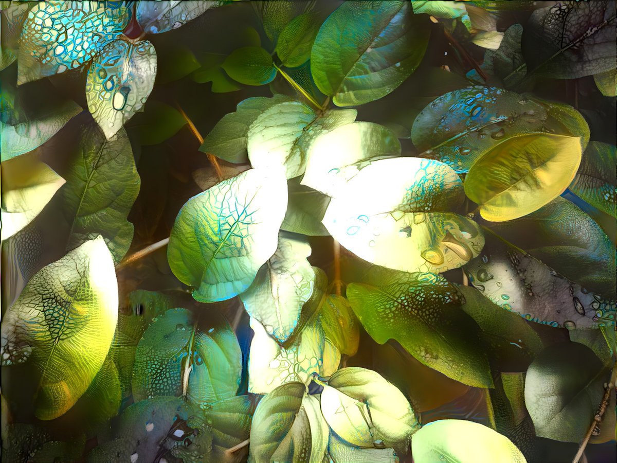 07

Collection -The universe of flowers
<a href="/opensea/">OpenSea</a>  

0,017 ETH

opensea.io/assets/0x495f9…

#NFT #nftart #nftartwork #ethereum #opensea #nftflowers #nftworld #nftphotography #nftartist #flowernft #nature
