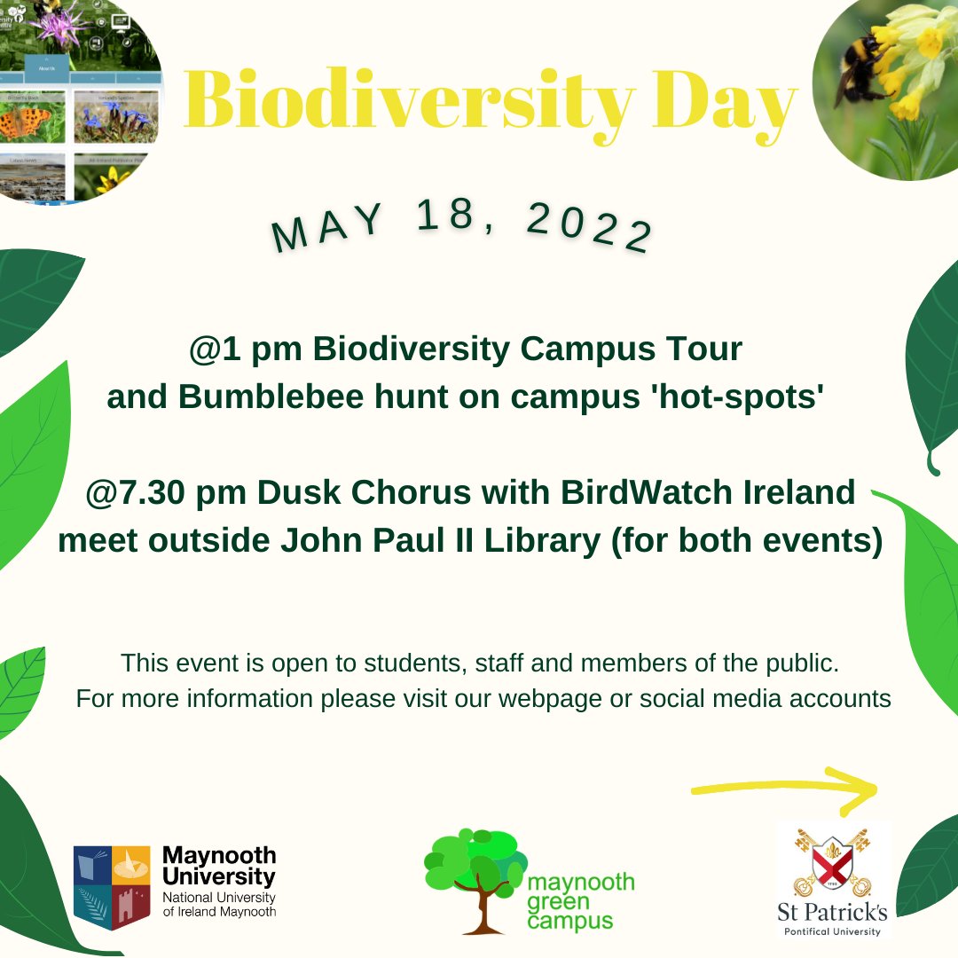 Maynooth University Library tweet media