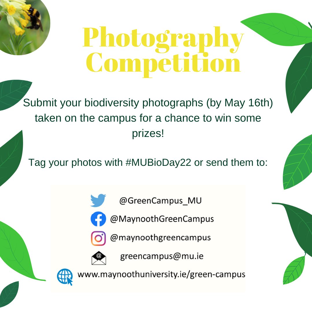 Maynooth University Library tweet media